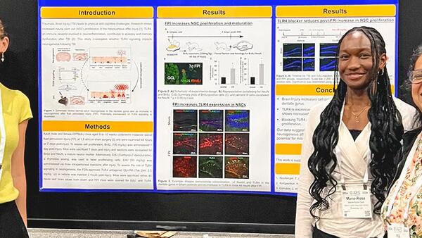 a tie that binds cnas blog article header  a tie that binds cnas blog article header