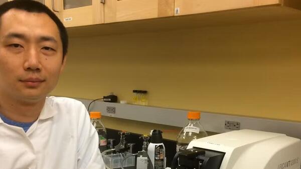 hongdian yang hongdian yang