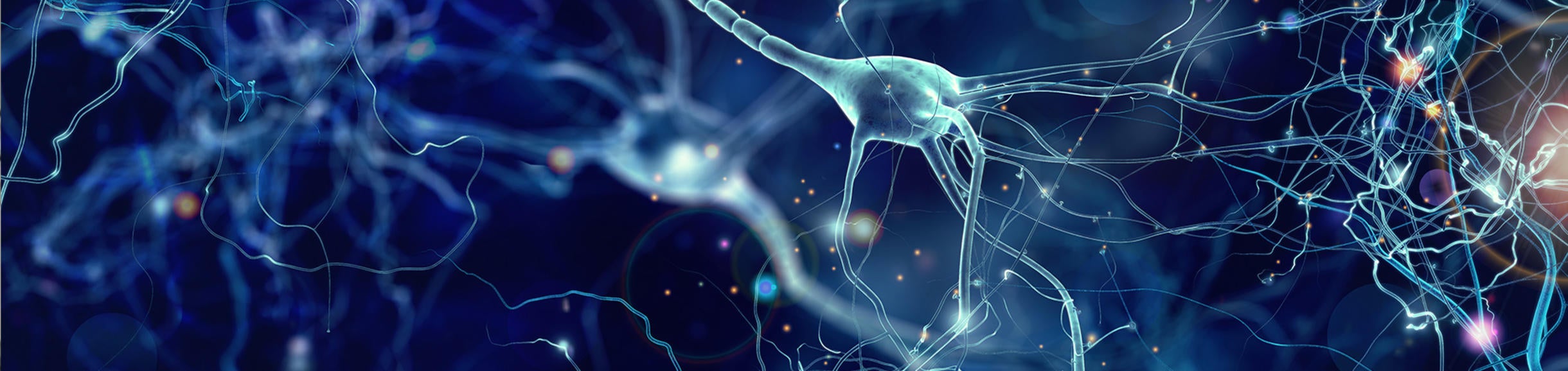 Neuro Cells