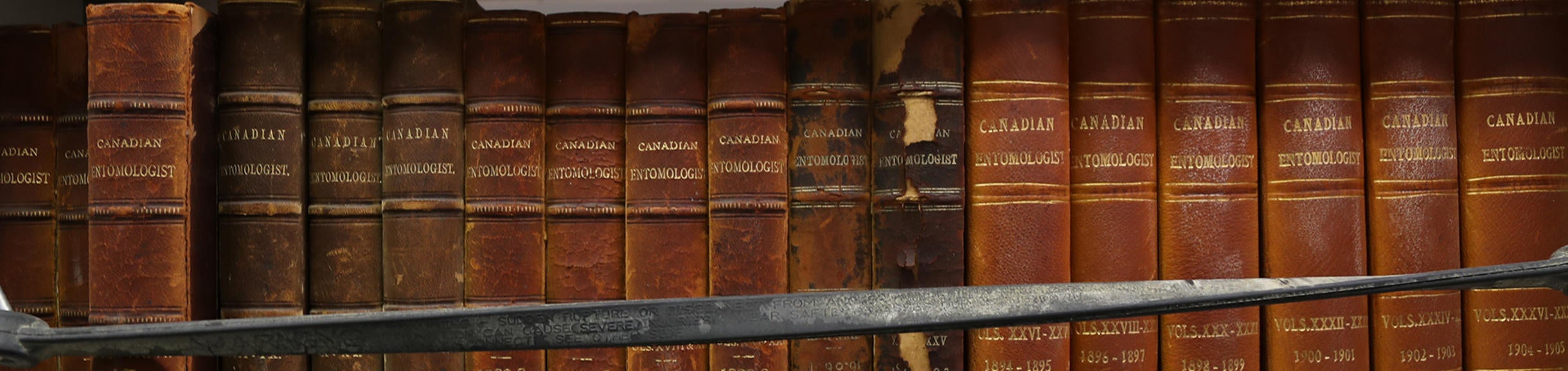 Row Of Books