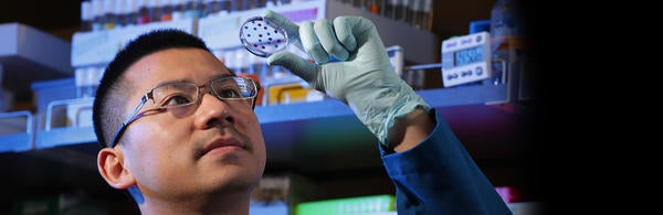 Neuroscience grad student David Chen (c) UCR Stan Lim