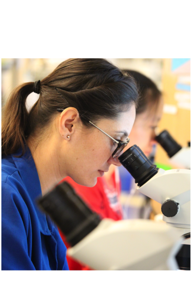 Girl Looking Through Microscope